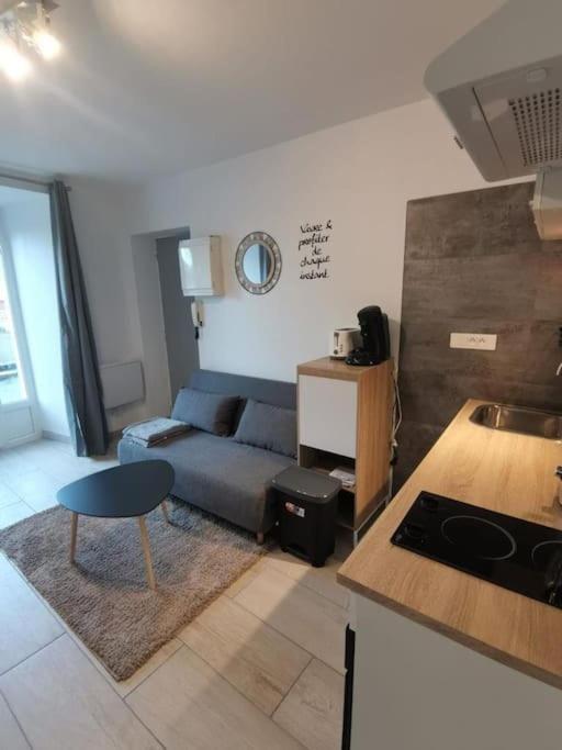 Charmant Appartement Au Calme Saint-Georges-de-Luzençon Eksteriør bilde